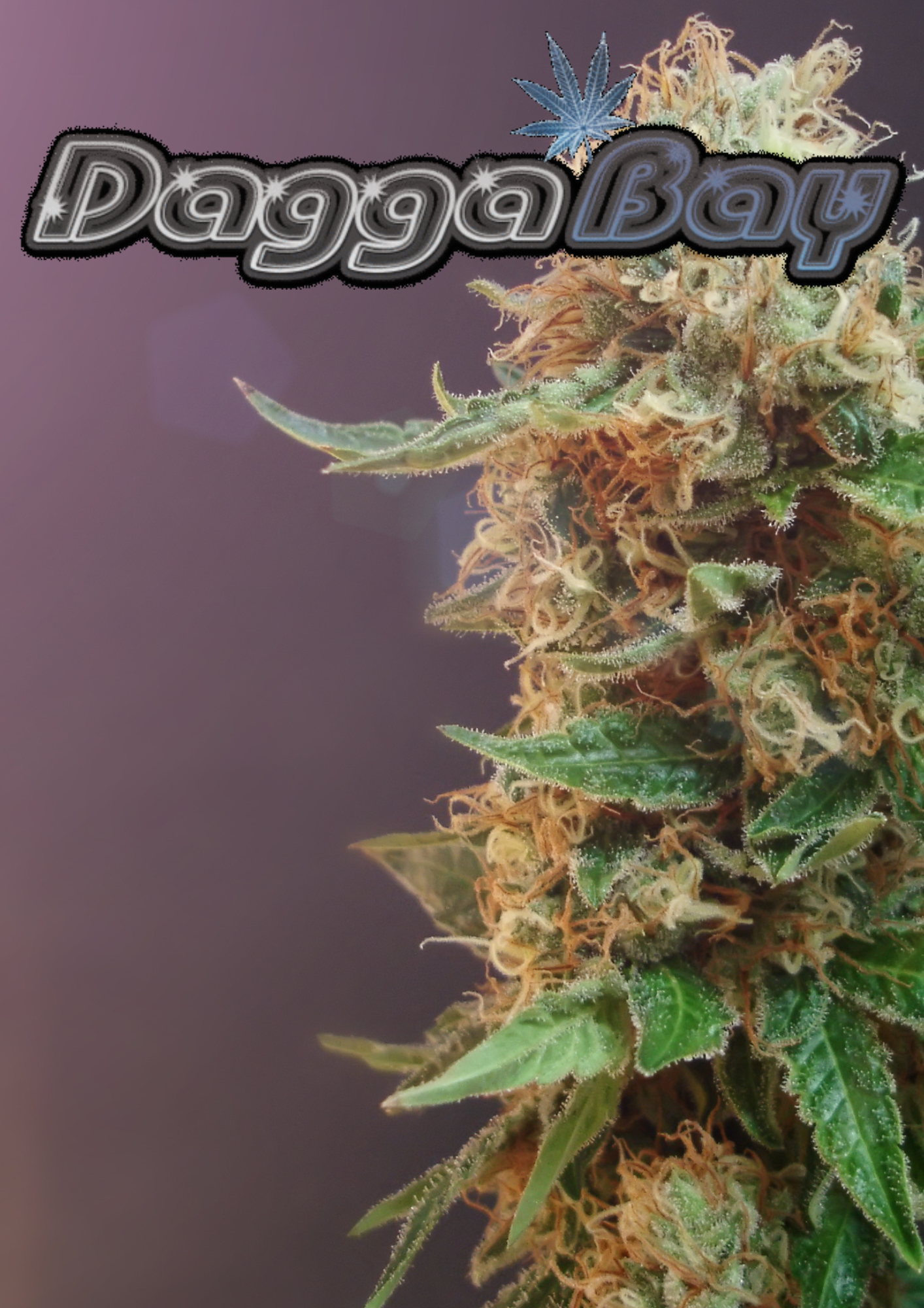 The Budding Artist: Cannabis in Performance Art