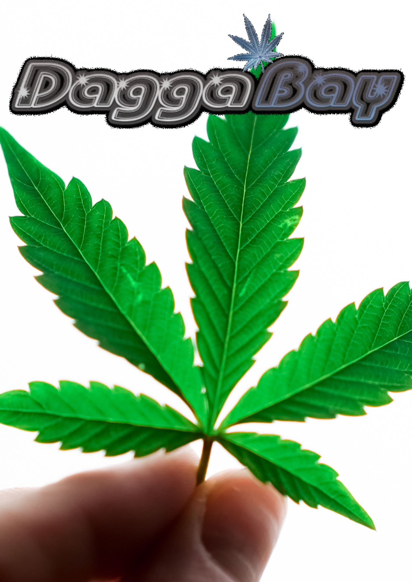 Weed and Wellness: Cannabis in Reiki Healing