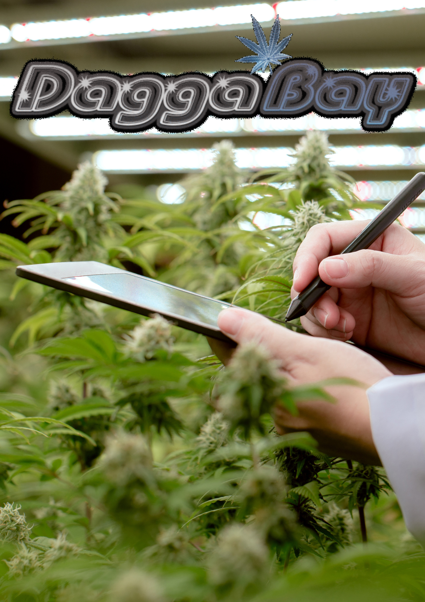 The High-Tech Lab: Innovations in Cannabis Testing