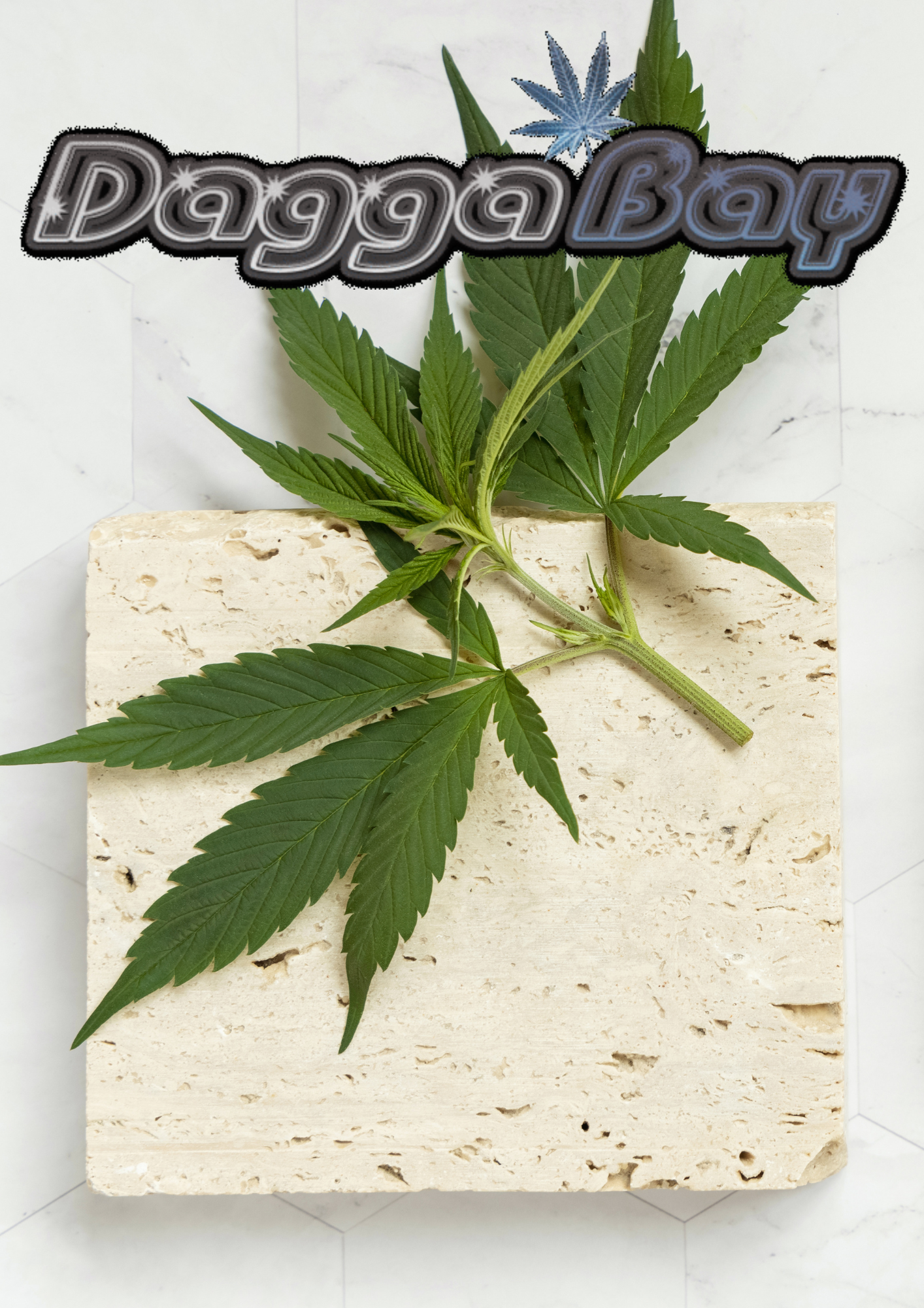 The Green Entrepreneur: Cannabis Co-Working Spaces