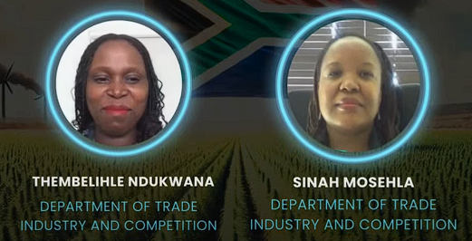 DTIC Vows to Revive Cannabis Master Plan Amid Hemp Ban Setback