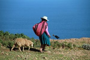 Free Lake Titicaca photo and picture