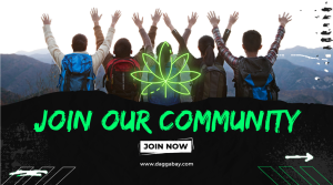 Daggabay-Cannabis-Community-Shop-South-Africa-Dagga